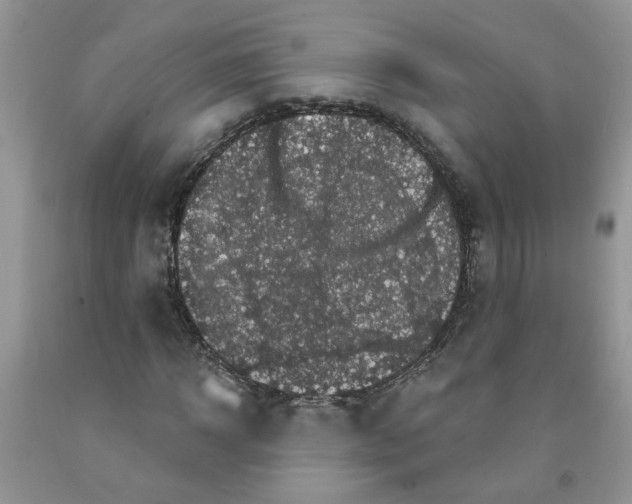 X0000091510918200709141352