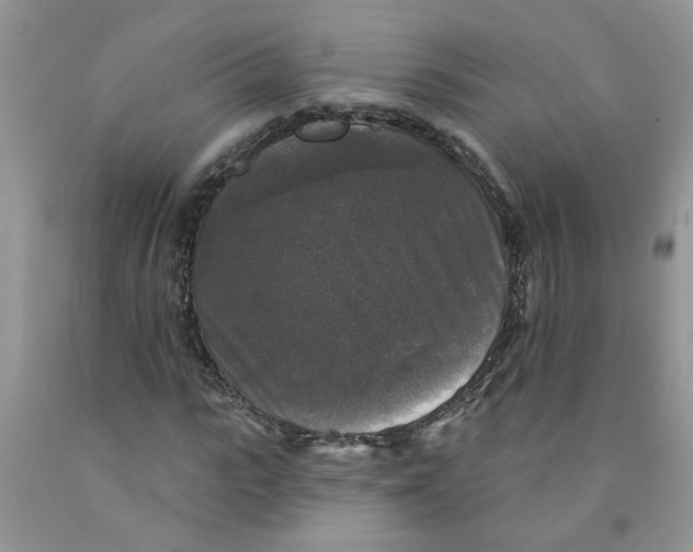 X0000091510919200709141352