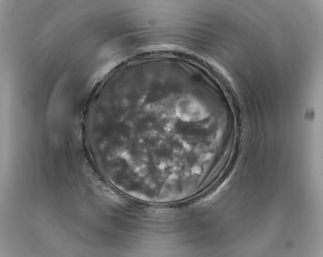 X0000091510921200709141352