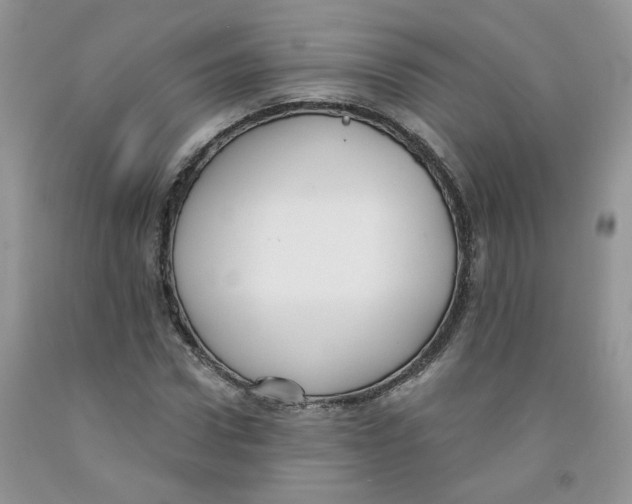 X0000091510922200709141352