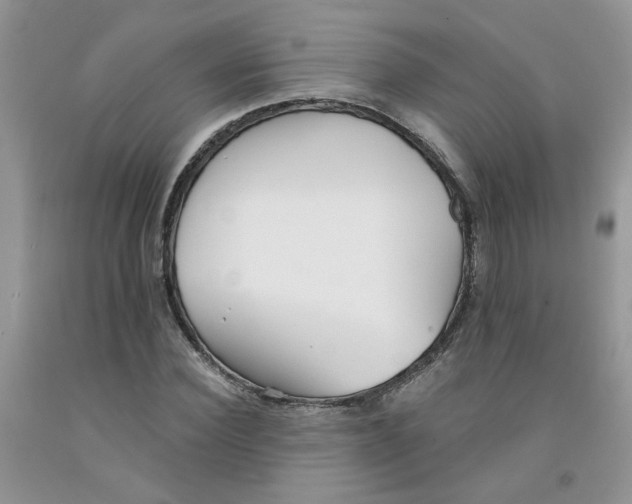 X0000091510924200709141352