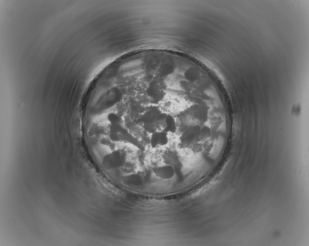 X0000091510925200709141352