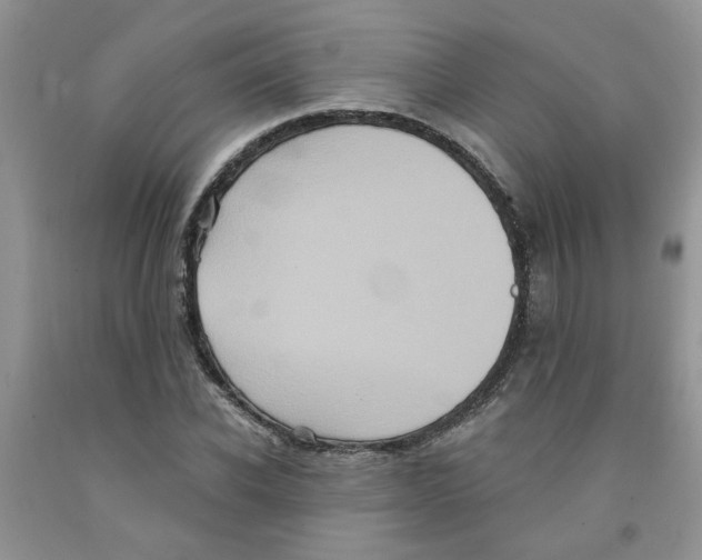 X0000091510926200709141352