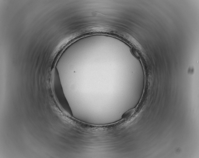 X0000091510930200709141352