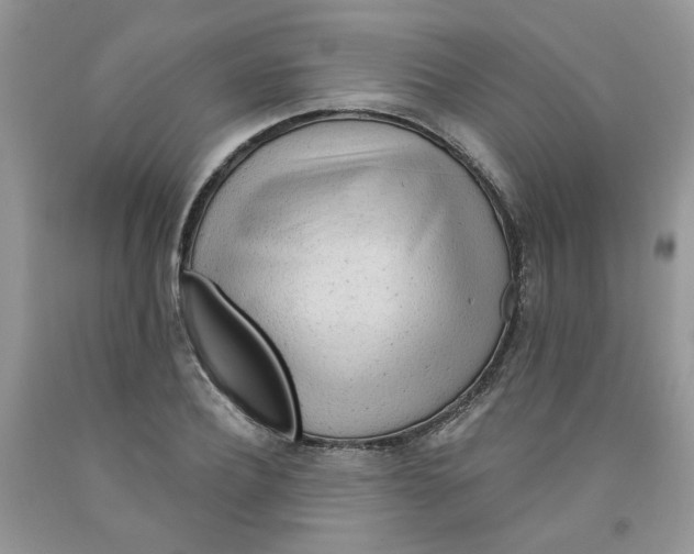 X0000091510932200709141352