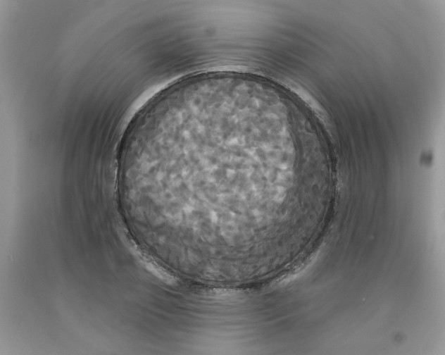 X0000091510933200709141352