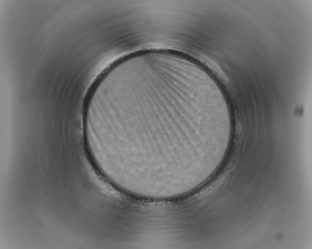 X0000091510934200709141352