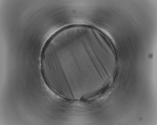 X0000091510935200709141352