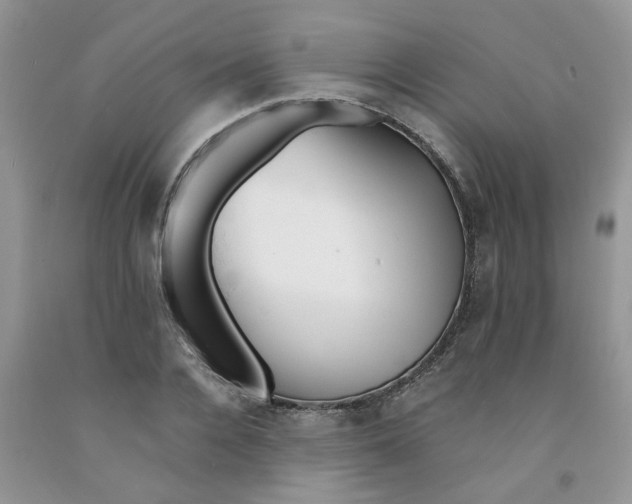 X0000091510936200709141352