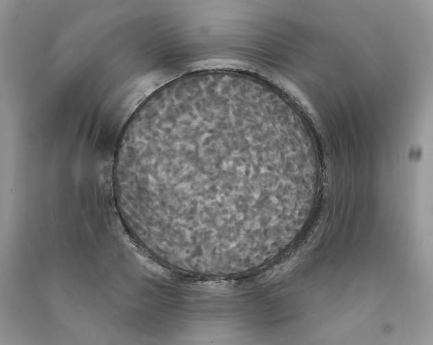 X0000091510937200709141352