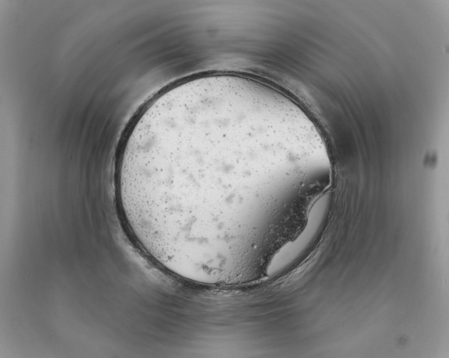 X0000091510939200709141352