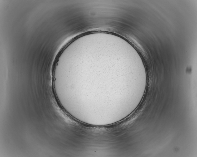 X0000091510940200709141352