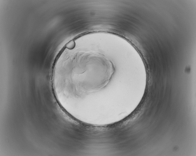 X0000091510941200709141352