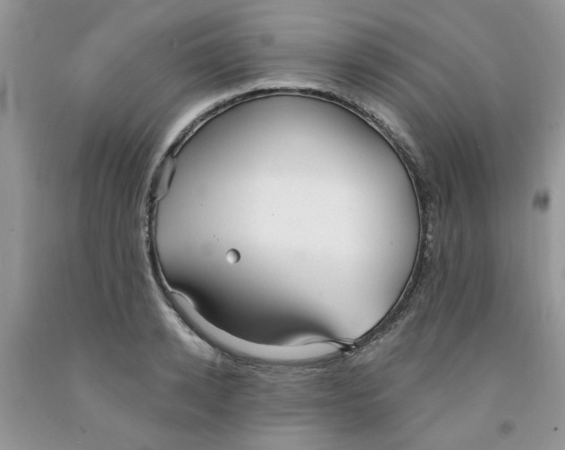 X0000091510942200709141352