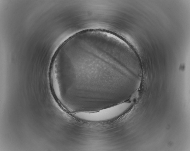 X0000091510943200709141352