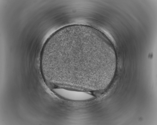 X0000091510944200709141352