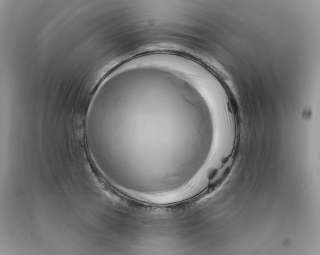 X0000091510945200709141352