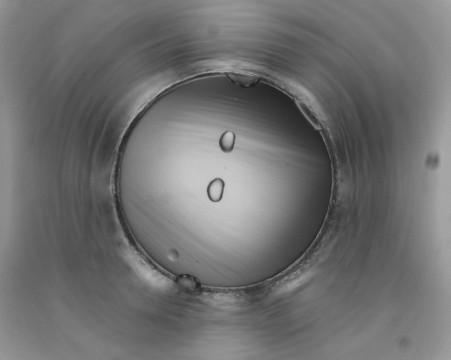 X0000091510946200709141352