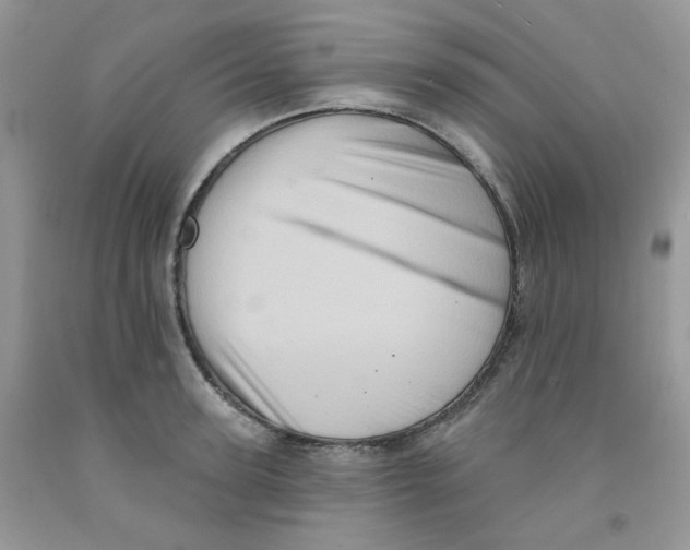 X0000091510947200709141352