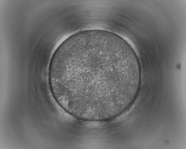 X0000091510949200709141352