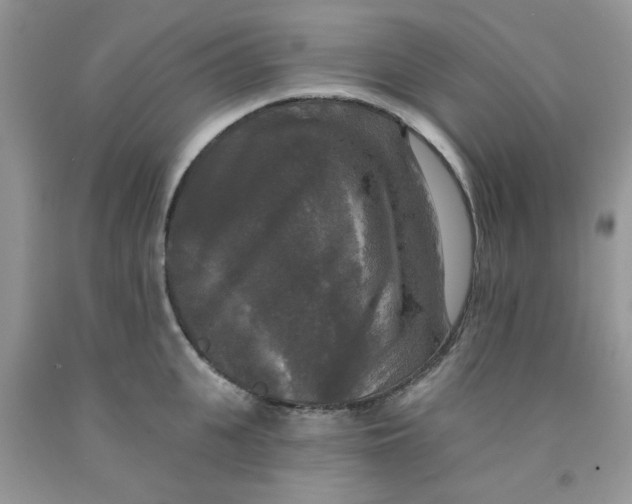 X0000091510951200709141352