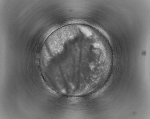 X0000091510953200709141352