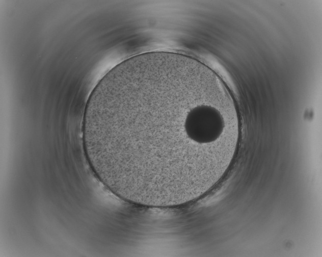 X0000091510954200709141352