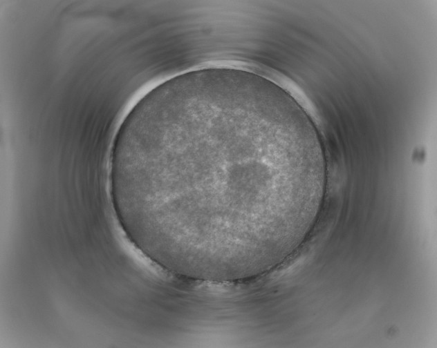 X0000091510955200709141352