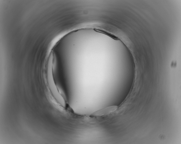 X0000091510960200709141352