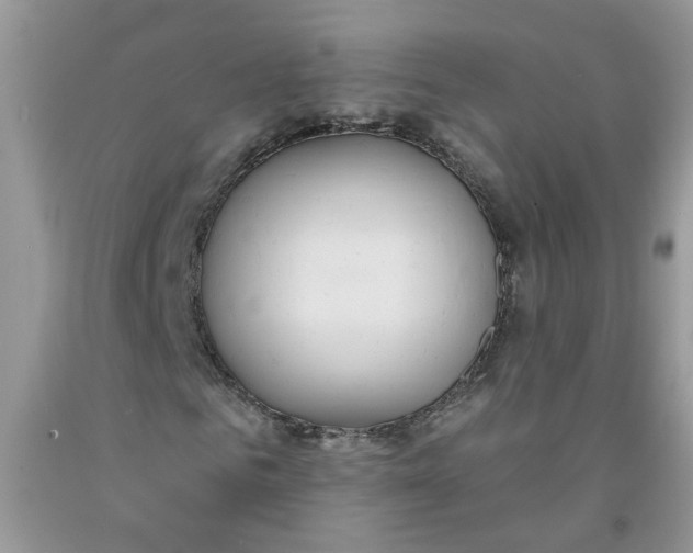 X0000091510961200709141352