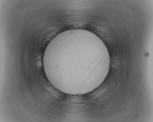 X0000091510962200709141352