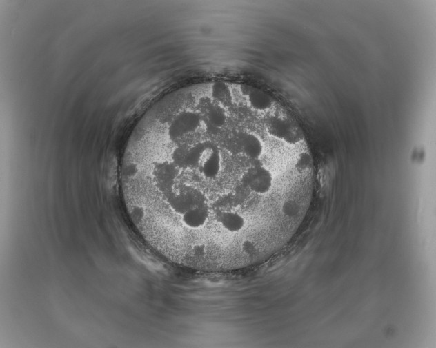 X0000091510963200709141352