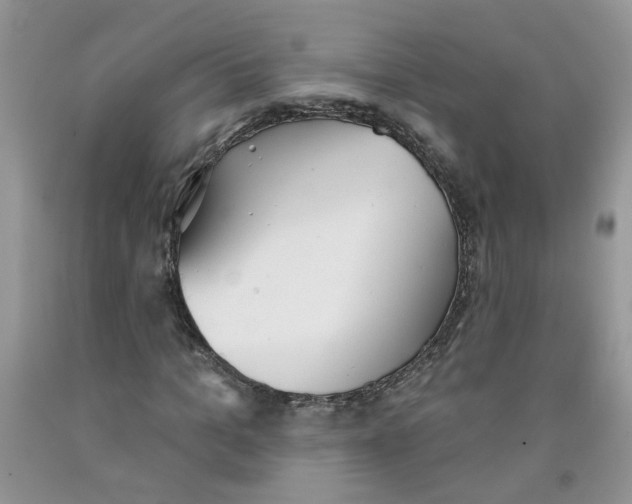 X0000091510965200709141352