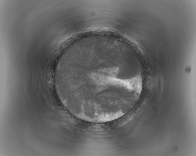 X0000091510966200709141352