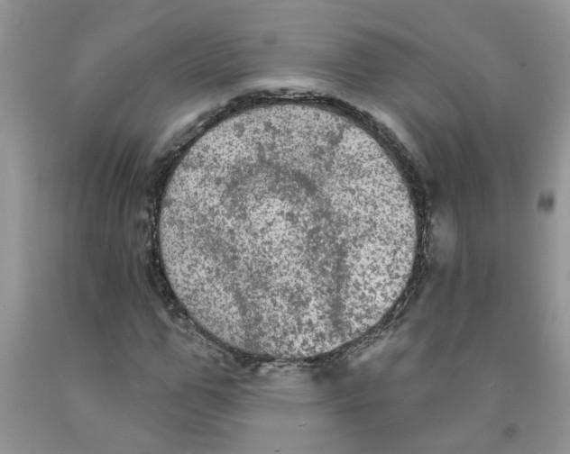 X0000091510967200709141352