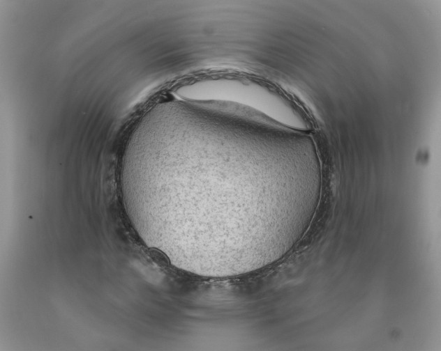 X0000091510968200709141352