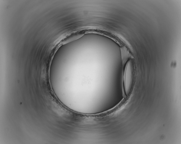 X0000091510969200709141352