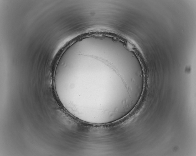 X0000091510973200709141351