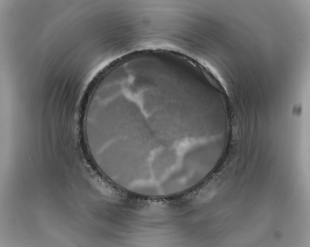 X0000091510975200709141351