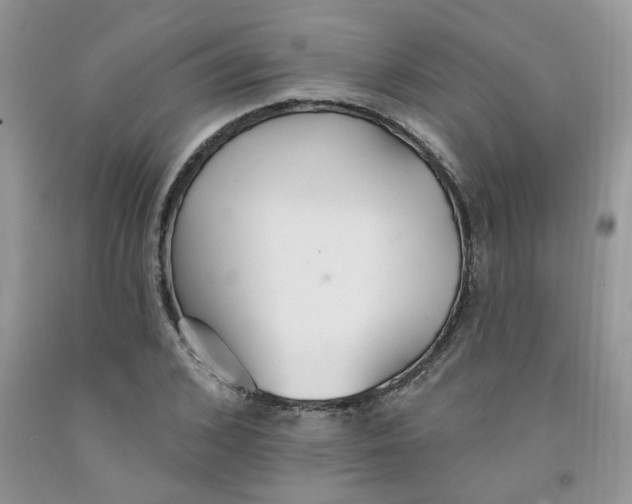 X0000091510976200709141351