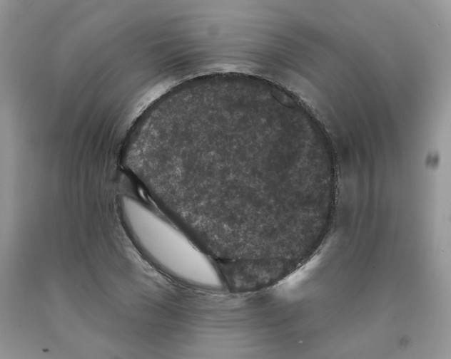 X0000091510977200709141351