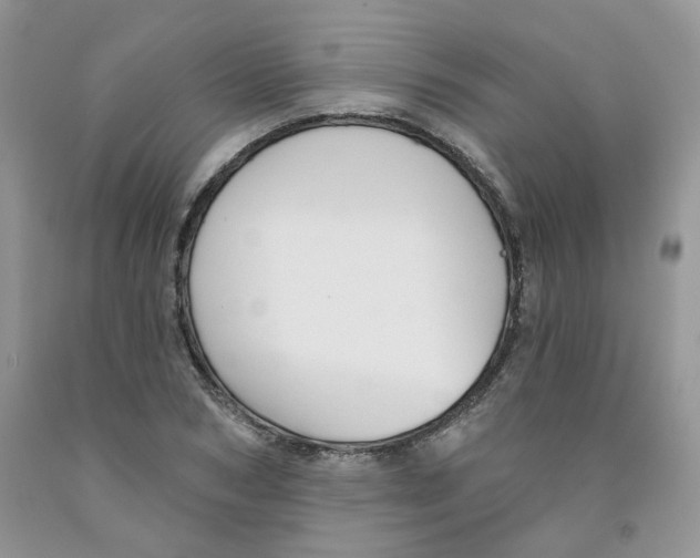 X0000091510978200709141351