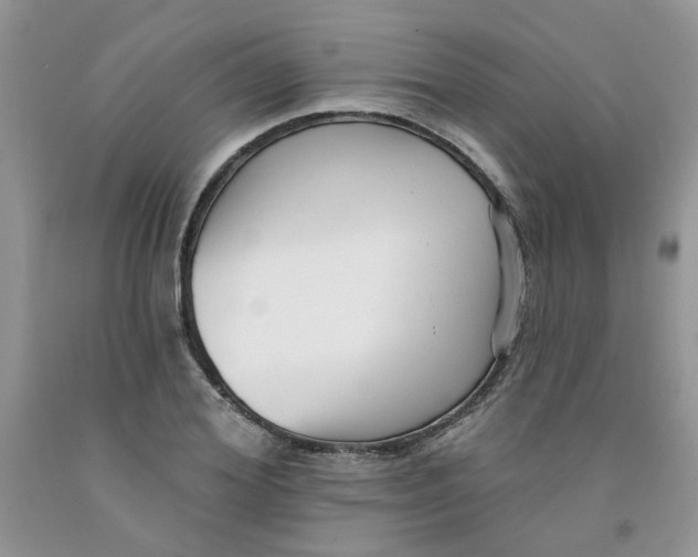 X0000091510980200709141351