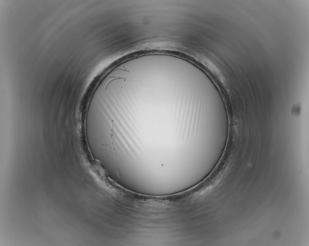 X0000091510981200709141351