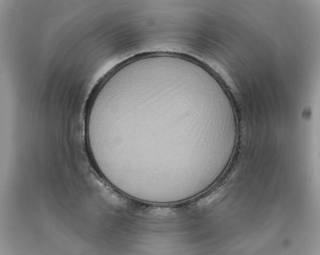 X0000091510982200709141351