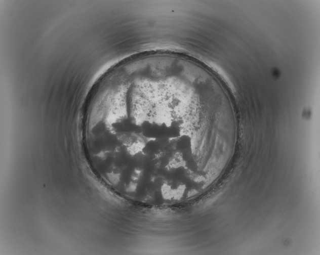 X0000091510983200709141351