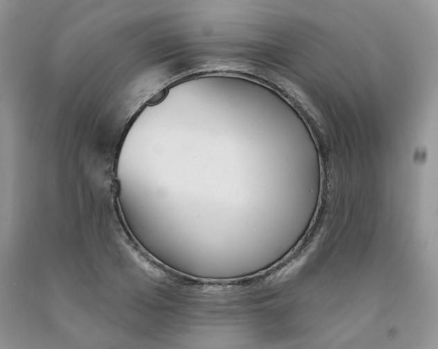 X0000091510985200709141351