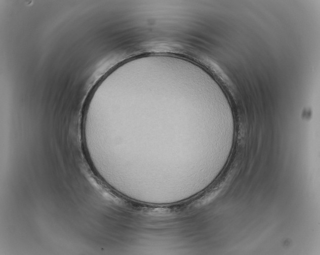 X0000091510986200709141351