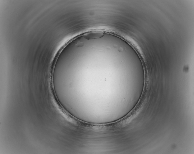 X0000091510989200709141351