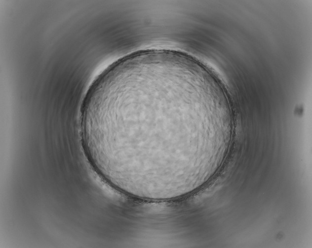 X0000091510990200709141351